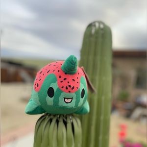 7” Watermelon Nomwhal - Aurora - Tasty Peach